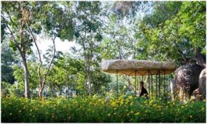 Ngôi chùa đá ở Nha Trang