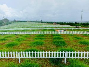 Dự án đất nền Green Life Bảo Lộc