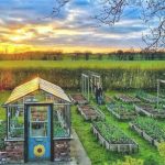 Dự án đất nền Lộc Tân Farm Bảo Lộc