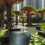 Tầm quan trọng của cây xanh trong thiết kế cảnh quan sân vườn