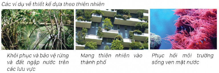 Thiết kế kiến trúc cảnh quan bờ sông Hồng tại quận Long Biên